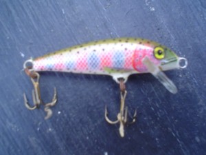 Rainbow Trout Lure Used to Catch Salmon