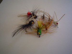 Flies used for Fly Fishing