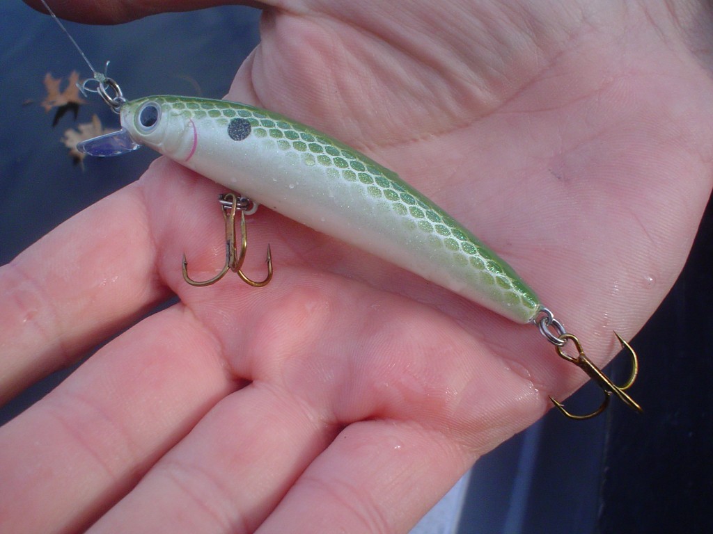 How to Catch Northern Pike Fishing For Beginners