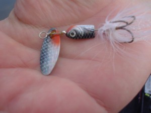 Spinner Bait