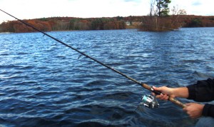 Catfish Fishing