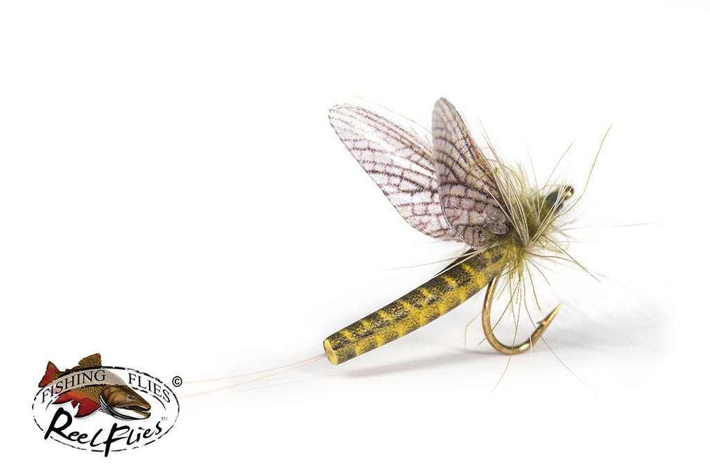 The ReelFlies Western Green Drake: A perfect replica on the New Hampshire Rivers