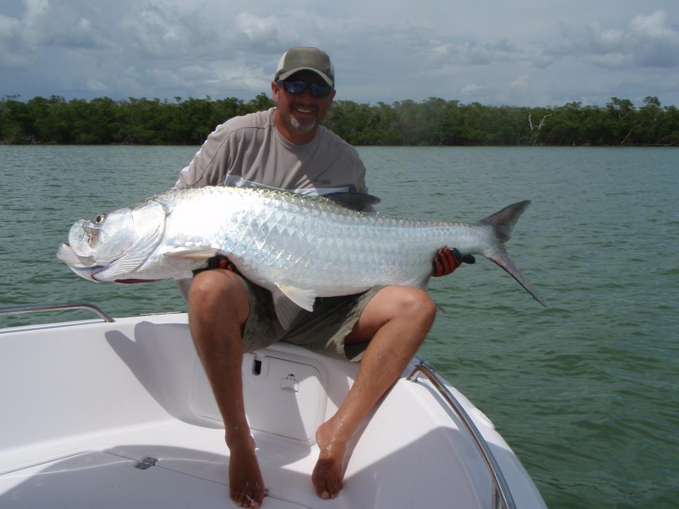 Tarpon in Aruba